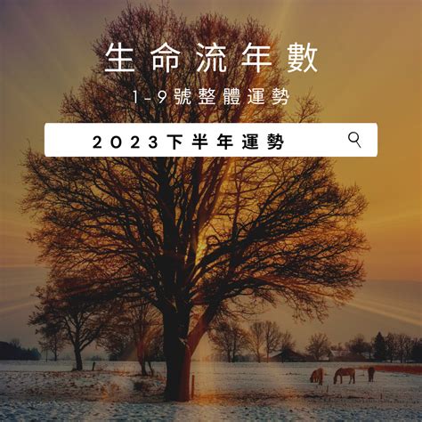 2023生命靈數流年7|V生命靈數／ 2023下半年【整體運勢】分析&生命流年。